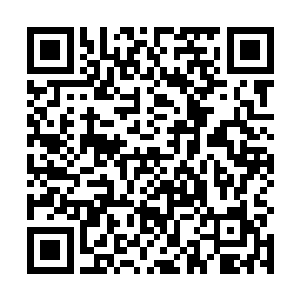 便会被一道不知从哪里冒出来的金色火焰直接焚为青烟二维码生成
