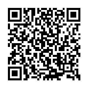 便可以发觉这些灾民在这一段路上疯狂卷涌躁动二维码生成