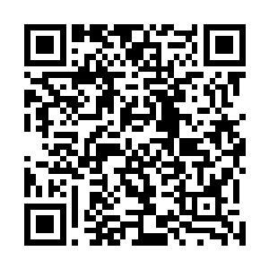 便可以看见远方那座璀璨灯柱下映得气派巍峨的庄园大门二维码生成