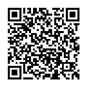 便在心中种下了一颗遵守星辰冒险团规则的种子二维码生成