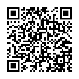 便如同一只穿花彩蝶一般自北辰睿的身边翩跹而过二维码生成