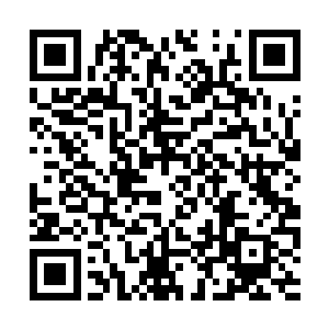 便将一众鲜血卷入了一旁早已经准备好的瓷盆之中二维码生成