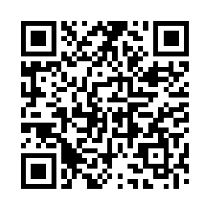 便将九颗闪烁着符文之光的妖丹吸到了口里二维码生成