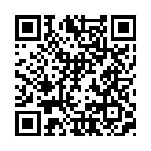 便将他带回来吧……在外游历的弟子二维码生成