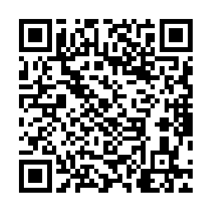 便已经发现这对岸的土地不知何时也已经笼罩在法阵之中二维码生成