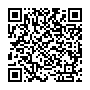 便已经用侦查技能将这个玉瓶上的猫腻查探的一清二楚了二维码生成