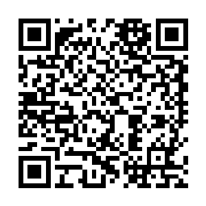 便已经看出对方的本体强度已经达到了认真初期的境界二维码生成