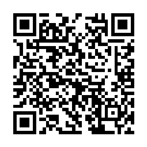 便带着刘大刀等人巡视督导其他几个以工代赈工程二维码生成