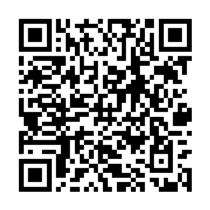 便想着问问王卧云和云飞凤是否知道白熙颜的行踪二维码生成