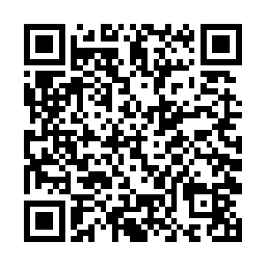便拉着幽月再次去修米大叔的目前进行离别前的祭拜二维码生成