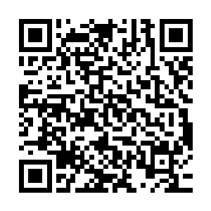便是一干围在流云身边的天机阁精英们皆是目瞪口呆得手足无措二维码生成