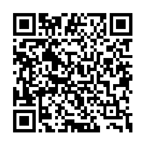便是因他尚未准备好克制这两种法则之力的办法二维码生成