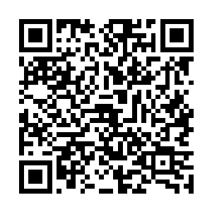 便是带着几个同学从初中部这边过来堵住了柳不怨二维码生成