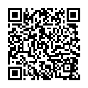 便是昔日从天煞魔星孙浪身上翻出的几片金叶子二维码生成