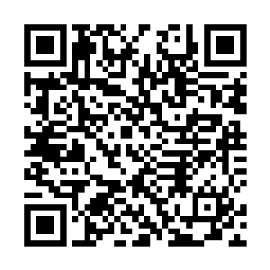 便是有朝一日终于当上了储君太子也不是就一劳永逸了二维码生成