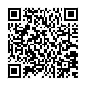 便是看到那清清秀秀算不得多漂亮的小女孩十分欢喜得看着代离二维码生成