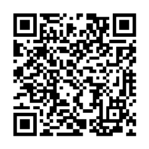 便是见到了许多人带着一批批的一些生活用品来到河口二维码生成