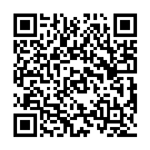 便是那两位与他分属不同派别的圣堂大主教也欠身问礼二维码生成