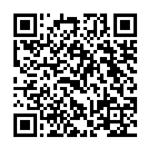 便是那羞涩的宋姑娘也比在柳母那边宴席之时活泼不少二维码生成