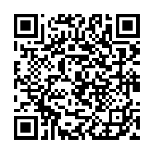 便是重金之下有山中老猎户愿冒险带路都会经常扑空二维码生成