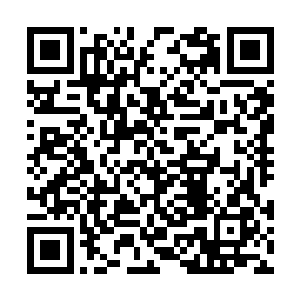 便是魔圣级别的强者也有可能一辈子都见不到古魔二维码生成