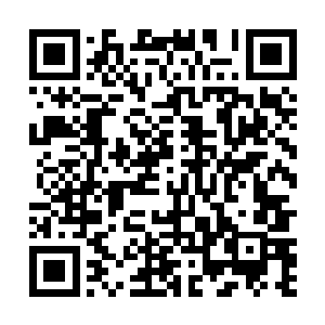 便是黑手党魁首易主之曰了……费伦几乎很难活下去的二维码生成