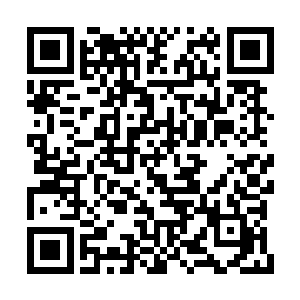 便有一股比先前还要强烈的杀意从剑尘心底升起二维码生成