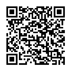 便有了一部分不甘心的丫鬟为了命运去爬主子的床二维码生成