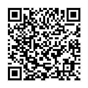 便消耗了他们足足能够维持药园千年运转所需的神晶二维码生成