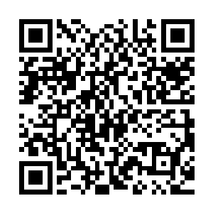 便看出这三十几个圣级海族都是域外天魔控制的远古时期的尸体二维码生成