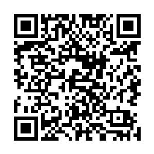 便看到上百名杜家拍卖行的护卫赶着马车在此迎接诸人到来二维码生成