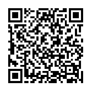 便看到方才进去通传的男修正一脸诧异加敬畏的看向自己二维码生成