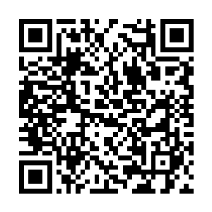 便看到通道的前面和后面同时涌出大量的成年异兽二维码生成