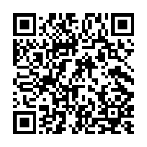 便知贾珍这作老子的比贾蓉这个当儿子高出几个层次二维码生成
