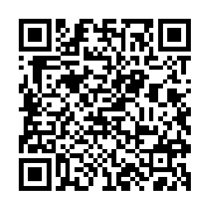便知道恐怕此刻的这个凶胎已经不是简简单单的当初那个凶胎二维码生成