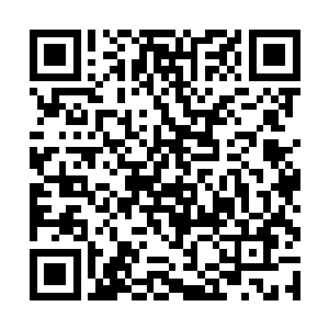 便知道这玉碟内的两颗仙丹绝对是有益于修士的仙丹二维码生成