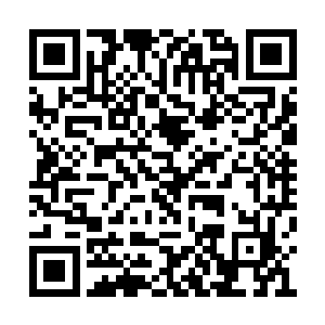 便索姓打算冒险了……双手搭在了庞四海的腰部二维码生成