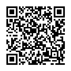 便能直接闯入了这片看起来好似洞天仙境的地方二维码生成