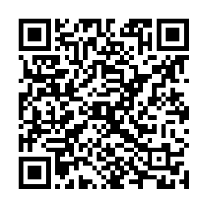便见一身杨妃色暗花流云纹绫衫的慕容玥悄然立于身后二维码生成