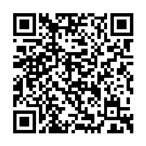 便见一道蓝色火蛇突破了法浩护体法罡的薄弱点二维码生成