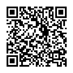 便见先前回去的那一拨西岛人正和一群穿着兽皮的东岛人大战二维码生成