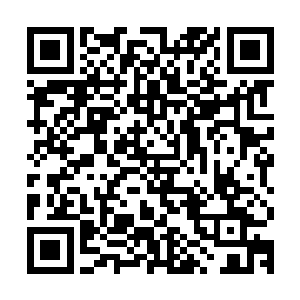 便见愤怒那巨大的身体如同放了气的充气娃娃一般迅速塌扁下去二维码生成