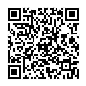 便见承平帝和昭萱郡主一左一右地扶着太后走进来二维码生成