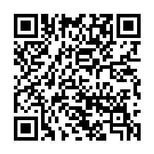 便让随行的碧草去锦记炒货买了些糖炒板栗及果脯二维码生成