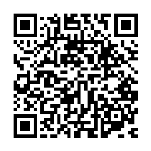 便迅速向着湿婆这边高速袭杀而来了……同样还是动用的拳头二维码生成
