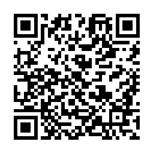 便连脸颊通红伽蓝也丝毫不顾形象地搂着沈凡的脖子二维码生成