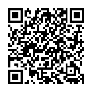 俄罗斯少女如同穿过花丛一般蹦跳着在健身学员中穿过来二维码生成