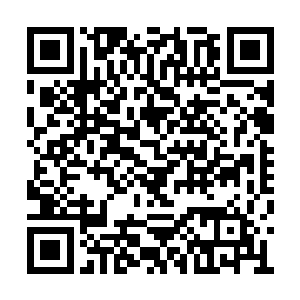 保留原有传统骑兵模式的只有中亚的两个骑兵师二维码生成