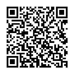 保管没多久就有一大堆远古级别的五色龙组团来刷希望之城了二维码生成