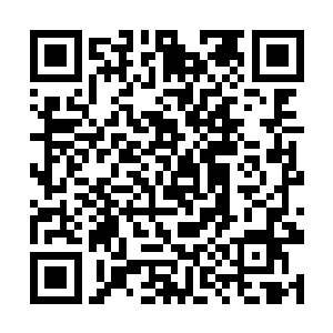 俨然明白自己眼前这个对手是堪比巨无霸一般的堡垒二维码生成